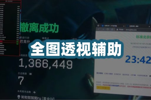 全图透视辅助